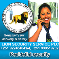 Lion Security Business Directory Page Position 2 Shared Banner